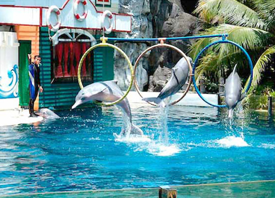 attraction-Koh Kong Safari World Exterior.jpg